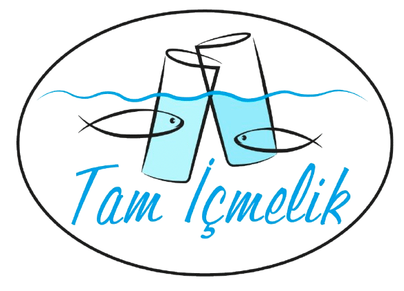 Tam İçmelik Logo